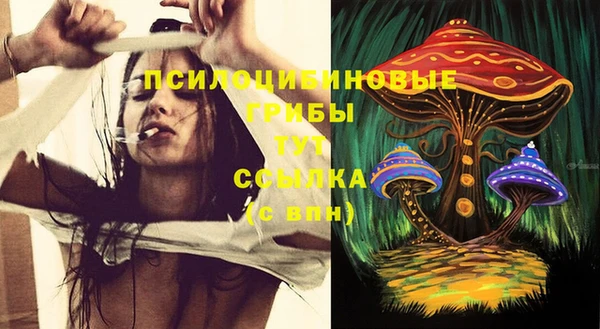 метадон Ладушкин