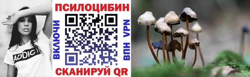 даркнет сайт  Суровикино  блэк спрут tor  Псилоцибиновые грибы MAGIC MUSHROOMS 